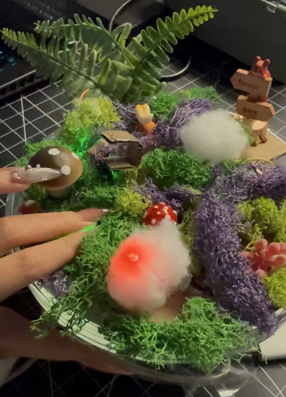 Lorem ipsum dolor sit amet, consectetur adipiscing elit